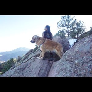 Meet your Posher, Sydney